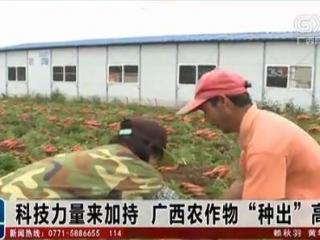 科技力量来加持 广西农作物“种出”高附加值