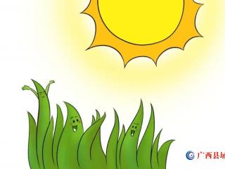 5种升“阳气”的菜，把整个春天的阳气补透透，偏虚偏寒的要多吃