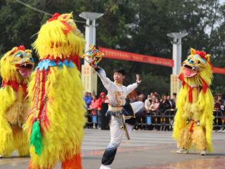 田阳区壮族狮舞传承赛弘扬非遗文化魅力