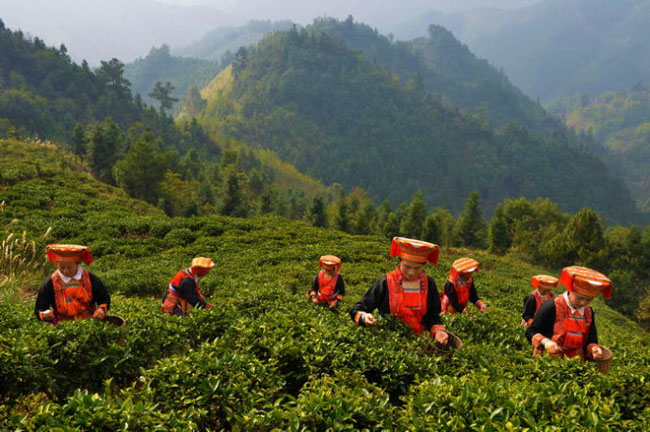 金秀瑶族自治县三角乡