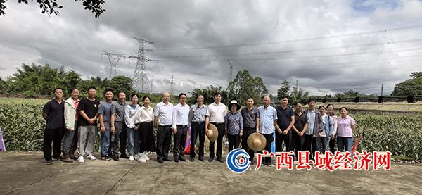 ����쵼�α��ι��߲���ֲ���ء��ӵ��� ��