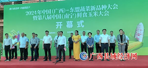 ��ļʽ�ֳ����ӵ��� ��