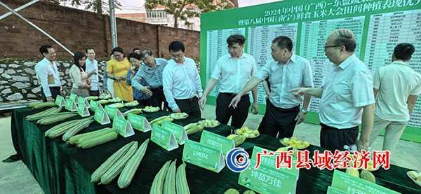 ����ֳ�չʾ�߲�������ʒ�֡��ӵ��� ��