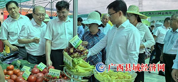 ����ֳ�չʾ�߲�������ʒ�֡��ӵ��� ��