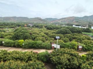 广西“桂字号”农业品牌媒体采风团走进贵港市