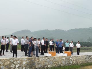 鹿寨县：召开螺蛳粉产业现场会