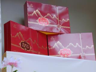 云雾茶山藏韵味——金秀红茶绘出“桂字号”生态底色