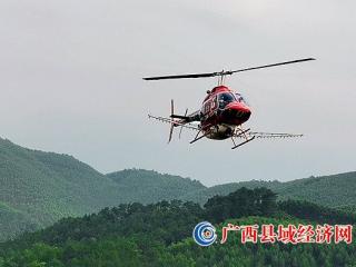 宁明：派阳山林场首次启用直升机开展森林病虫害防治