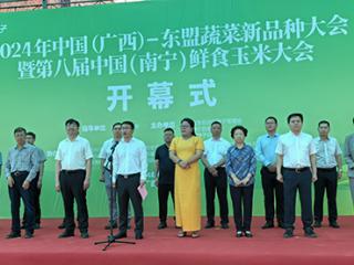 1658个新品种亮相中国（广西）—东盟蔬菜新品种大会