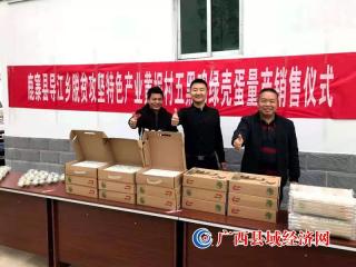 鹿寨县：电商带动 跑出村级集体经济“加速度”