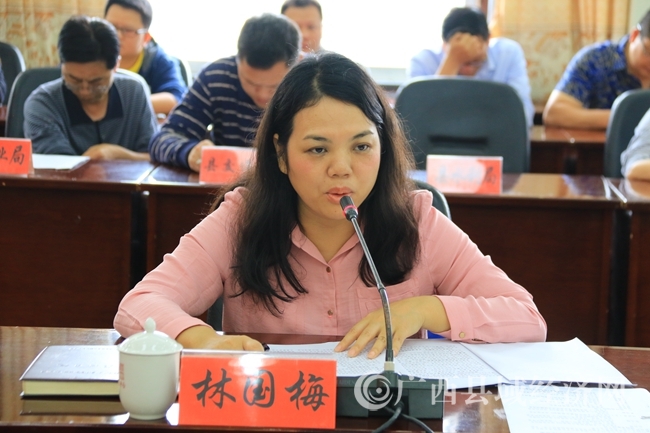 南丹县委常委、副县长林国梅在特色小镇调研座谈会上讲话