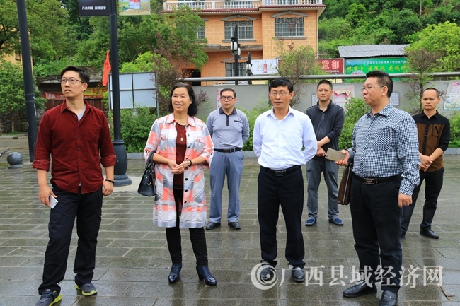 特色小镇现场调研3