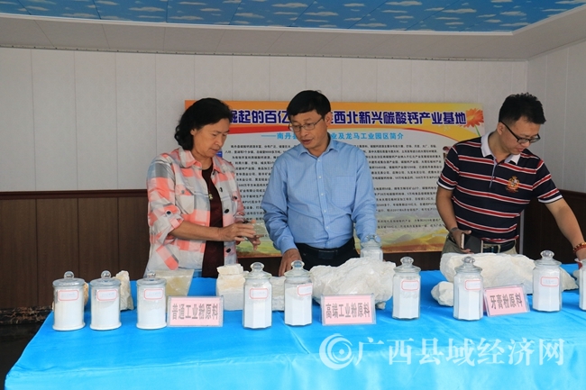 项目组到碳酸钙基地调研