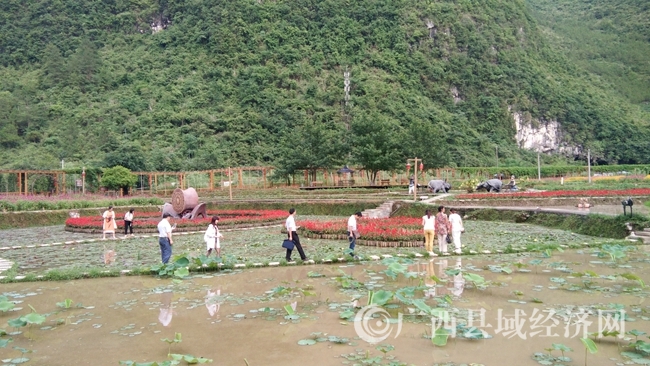 项目组到农业示范基地调研1
