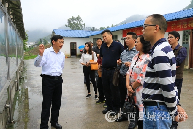 特色小镇现场调研1