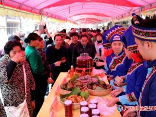 满池荷花那么美   风景如画游人醉