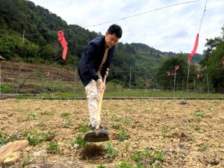 “兵书记”岑日就：扎根乡土，让那温村从规划蓝图变身振兴现实