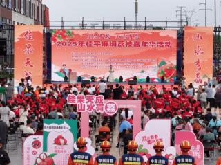 荔香盈桂平！2025麻垌荔枝嘉年华开启“甜蜜经济”新模式