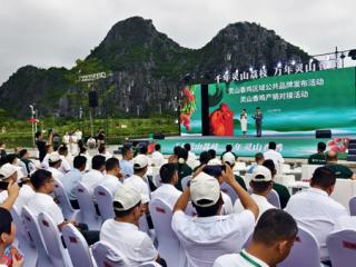 320万订单签约！灵山香鸡区域公共品牌发布  开启品牌化新征程