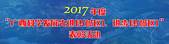 2017年度广西县域经济科学发展表彰活动