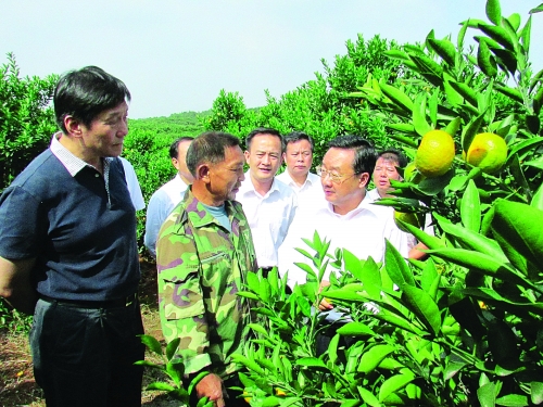 全州咸水镇：倾力打造绿色富裕新家园
