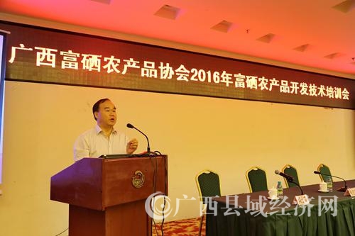 自治区农业厅富硒办主任宾士友作讲话.jpg