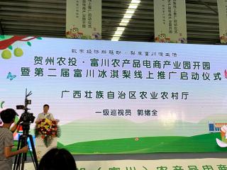 贺州农投·富川农产品电商产业园开园暨第二届富川冰淇梨线上推广启动仪式