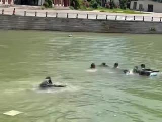 浩坤湖惊魂一刻！3名百色市民纵身跃水救出5名被困游客
