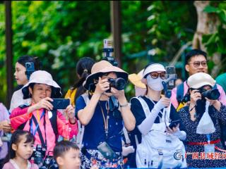 “2023清凉暑期德天跨国观瀑节暨玩转桂西南中越风情文化旅游生活季”在德天跨国瀑布景区正式启幕