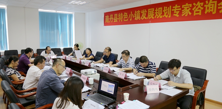 《南丹县特色小镇发展规划》专家咨询会在广西县促会召开