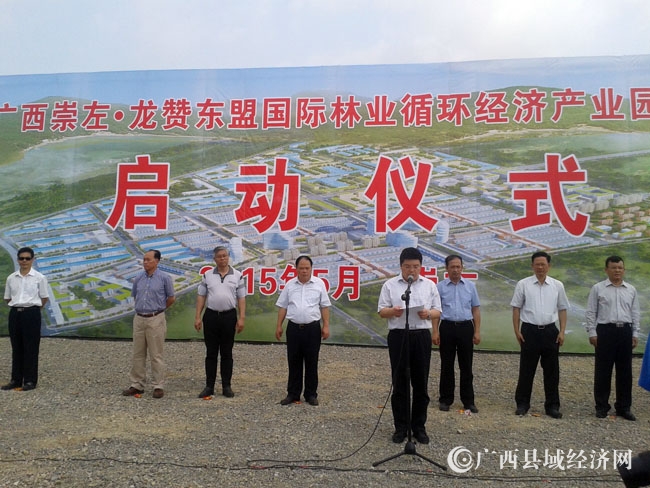 杨丽英应邀参加广西崇左·龙赞东盟国际林业循环经济产业园项目举行集中开工仪式