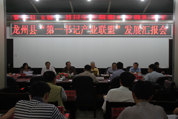 钟启泉赴龙州县参加扶贫开发“第一书记产业联盟”调研考察