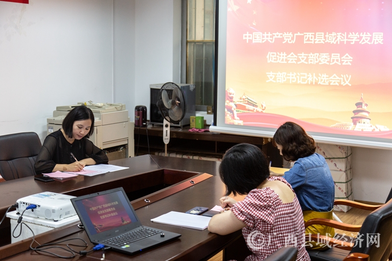 广西县域科学发展促进会党支部召开支部书记补选会议