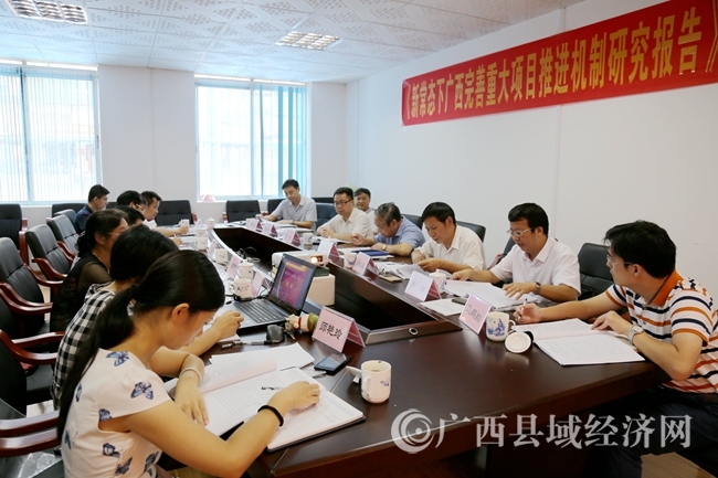 《新常态下广西完善重大项目推进机制研究报告》专家评审会在县促会召开