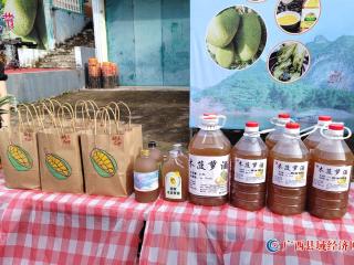 东安飘香木菠萝  节庆宾客笑声多