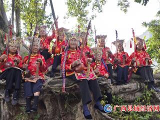 非物质文化遗产——宁明壮族仙(天)琴艺术