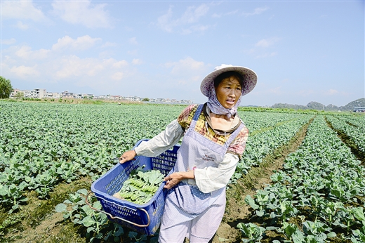 [富川县]大力发展生态农业纪实: 好山好水好产业