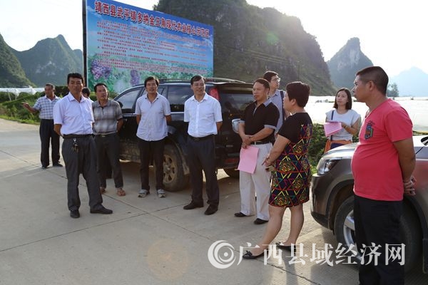 2015��9��9���ھ�������ƽ����ɽ������ִ�ũҵ����ʾ��������_����_����