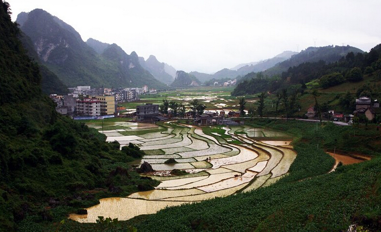 都安瑶族自治县