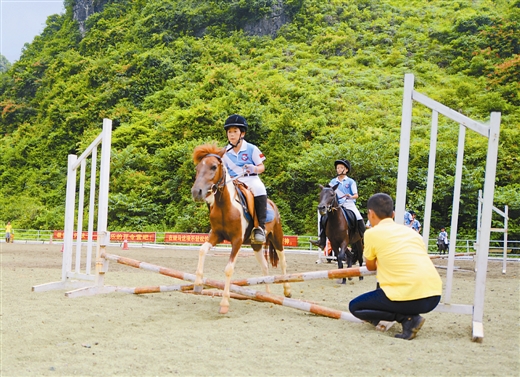 德保矮马:出场费30万元 马儿走“秀”赛明星