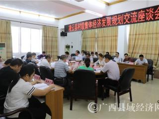 凌云县村级集体经济发展规划交流座谈会顺利召开