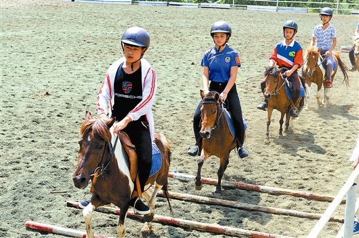 德保县建立健全德保矮马保种基地