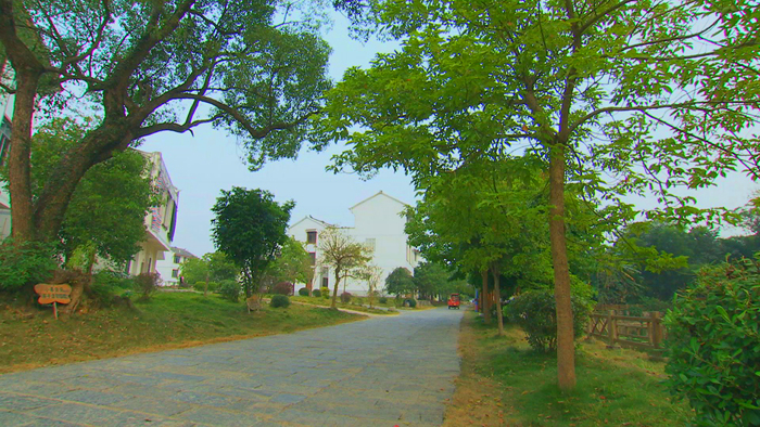 宜州市刘三姐乡马山塘屯环屯游步道(资料图片) 钟国伟摄.jpg