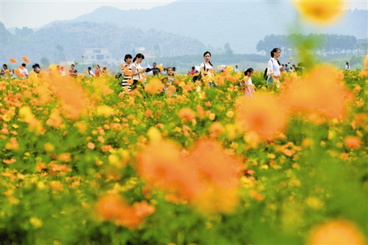 国庆黄金周广西旅游亮点纷呈 旅游总收入约79.88亿元