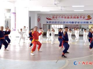 宁明县以非遗花山壮拳为载体铸牢中华民族共同体意识