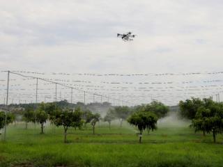 从“会种田”到“慧种田”：院士领航，广西7类特色农产品产量稳居全国榜首