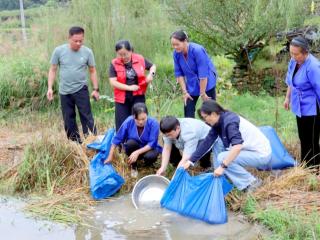 广西农工院:精准帮扶三江稻渔产业灾后振兴