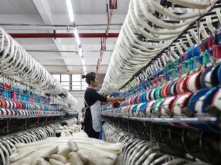 手工匠心 智能智造 文化赋能！宜州桑蚕奏响全链发展“三部曲”