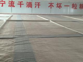 智管细储守粮仓！宾阳实践映照广西粮储“科技跃迁”