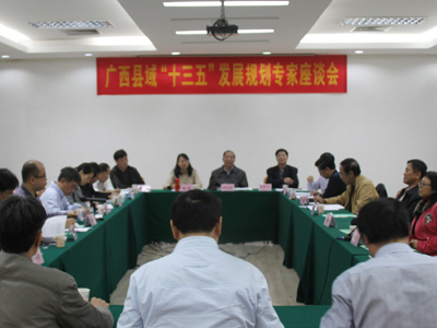 促进会成功主办广西县域“十三五”发展规划专家座谈会